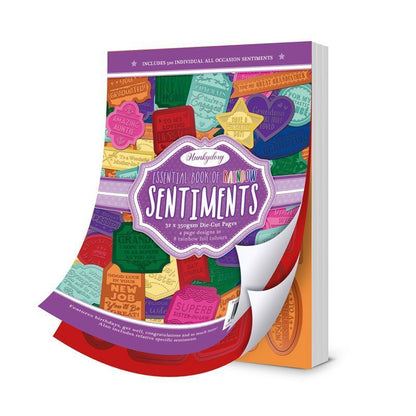 Livre essentiel de sentiments Rainbow Brights
