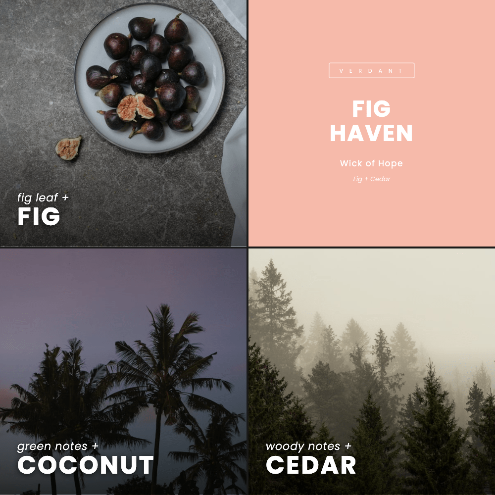Bougie Fig Haven | Figue + Cèdre