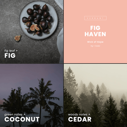 Bougie Fig Haven | Figue + Cèdre