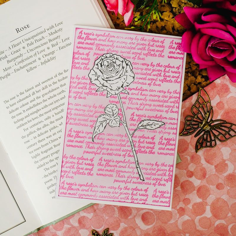 Pour l'amour des timbres - Beautés botaniques - Set de tampons Rose A6