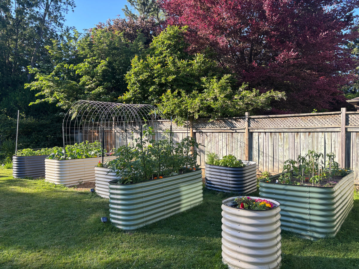 Kit de Jardin surélevé de 81 cm 9-en-1