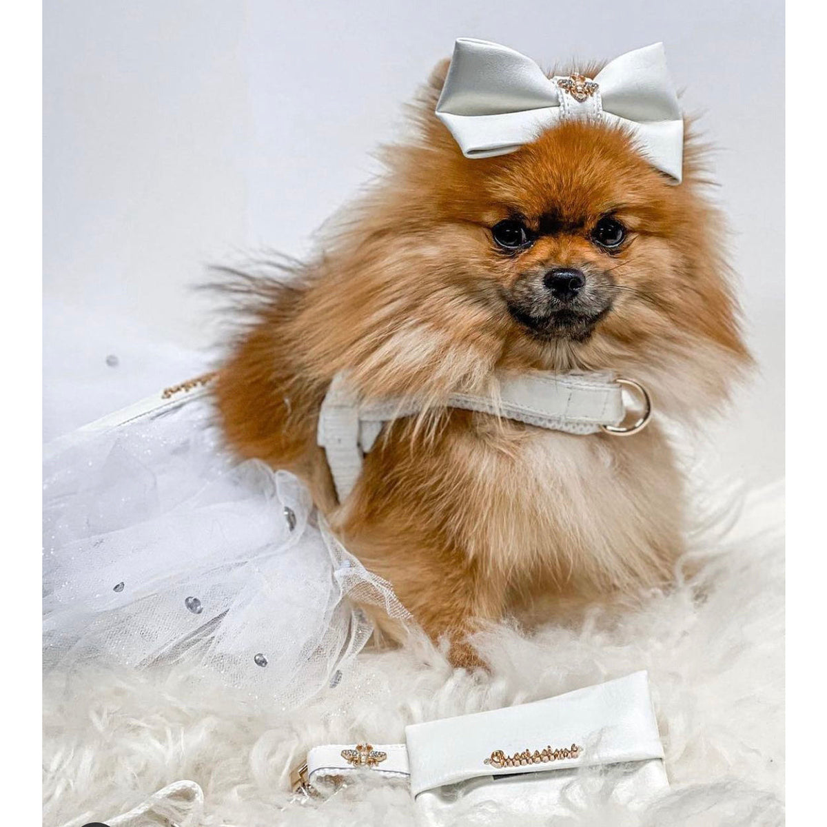 Harnais pour chien Swan One-Click