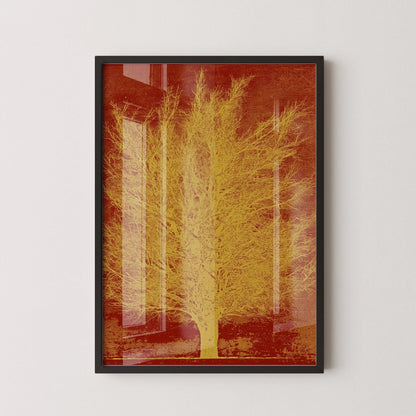 Joichi Hoshi Gold Tree Print: Vintage Japanese Woodblock Art