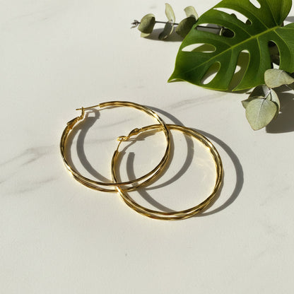 Double Strand Hoop Earring