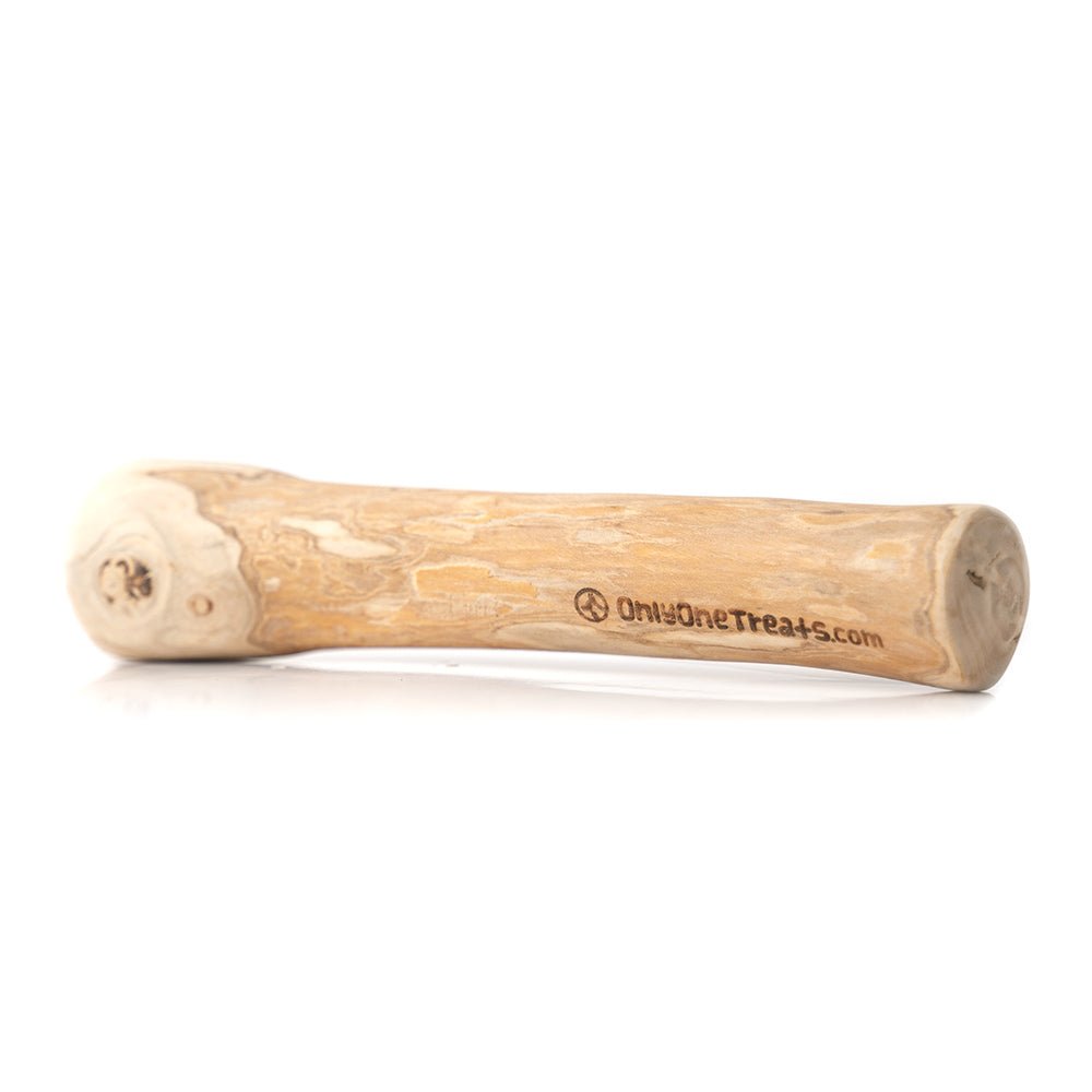Jouet à mâcher en bois de café, taille moyenne