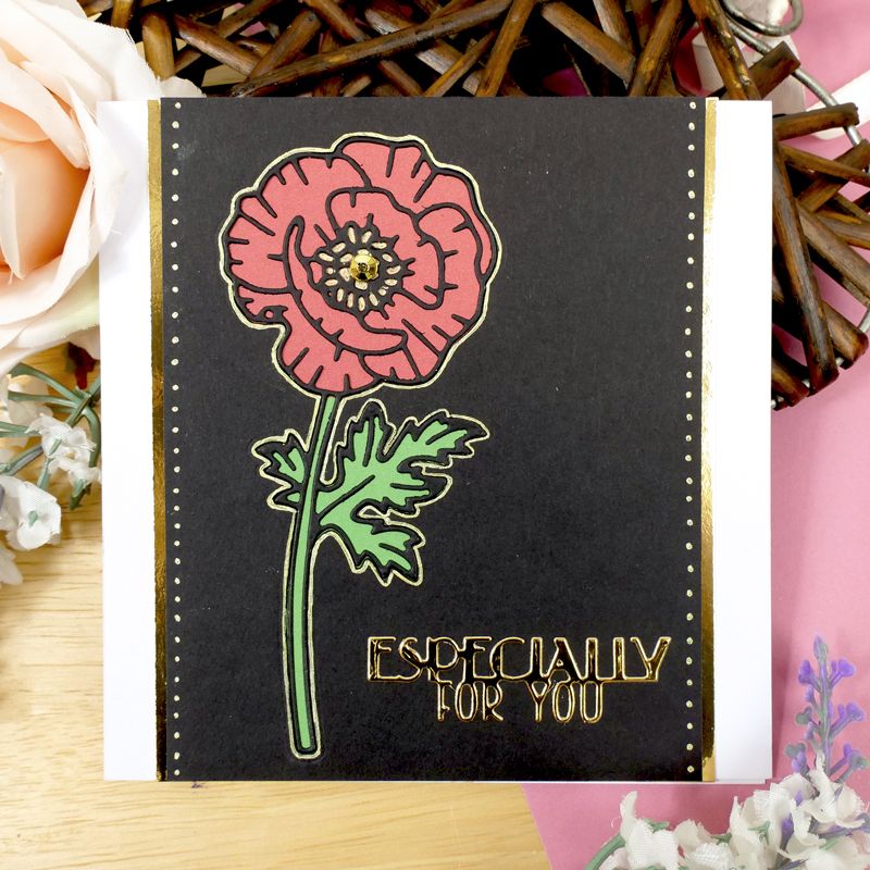 Meurtres à Moonstone - Poppy