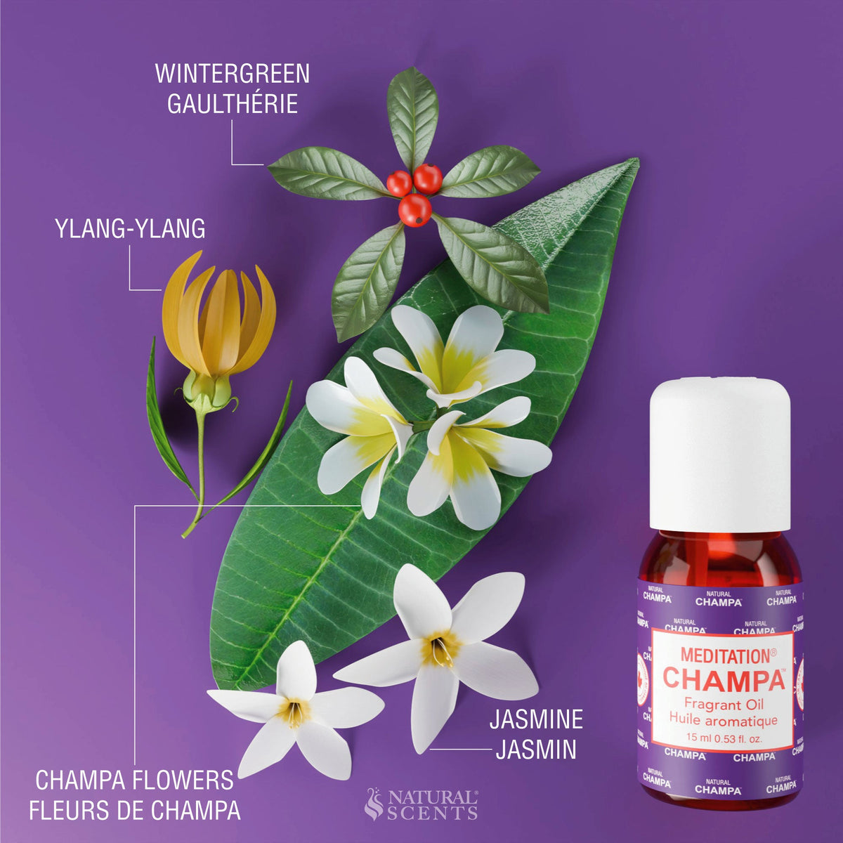 Meditation Champa Fragrant Oil