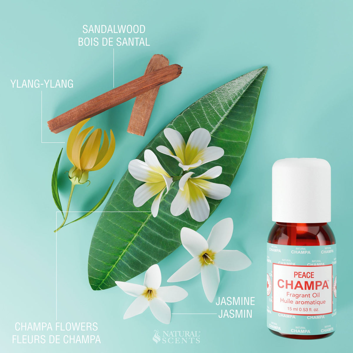 Huile parfumée Peace Champa