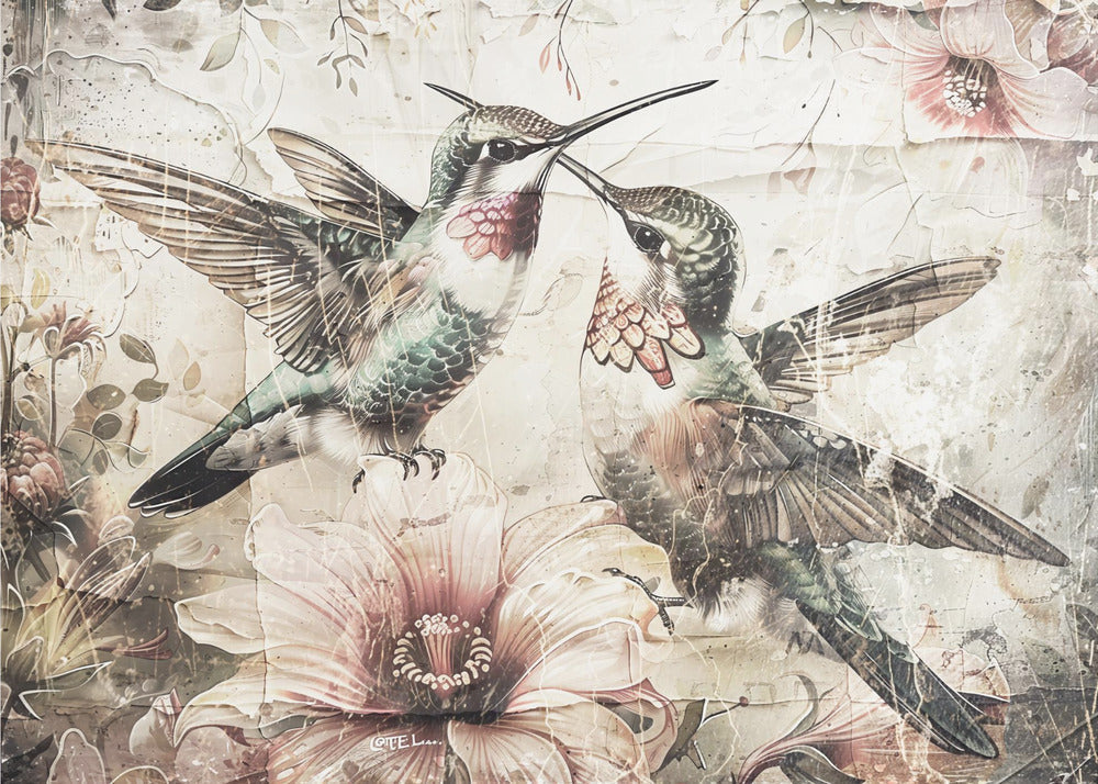 Décoration murale Oiseaux Animal Illustration Vintage Wallart 10
