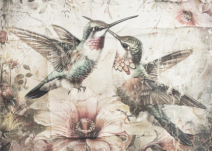 Décoration murale Oiseaux Animal Illustration Vintage Wallart 10