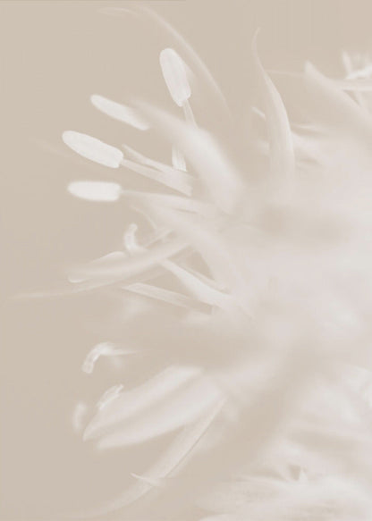 Wall art Flower Beige_1