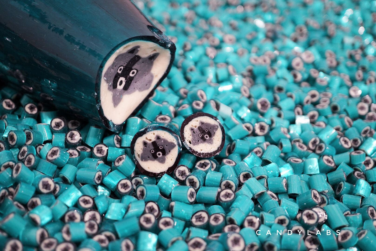 Raccoon - Blueberry