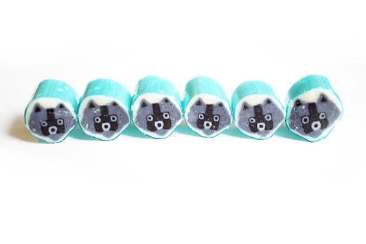 Raccoon - Blueberry