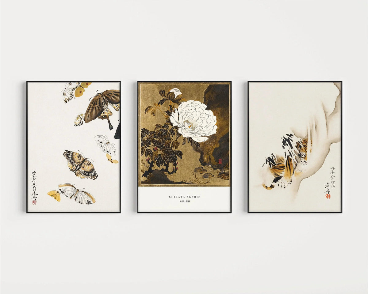 Ensemble d'estampes japonaises de Shibata Zeshin : Papillons, Pivoines, Tigre