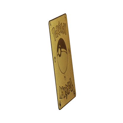 Pikachu EX Metal Orica Card