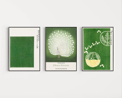 STATEMENT TRIO Japanese Green | Ohara Koson Prints Available Framed or Unframed