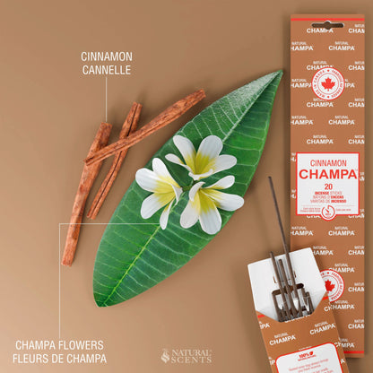 Bâtonnets d'encens Cannelle Champa