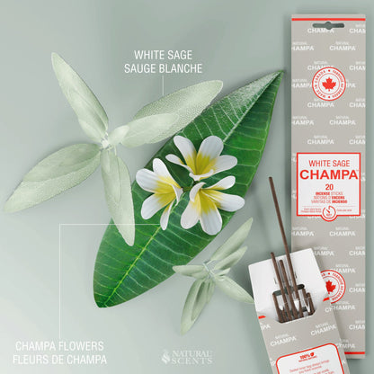 White Sage Champa Incense Sticks