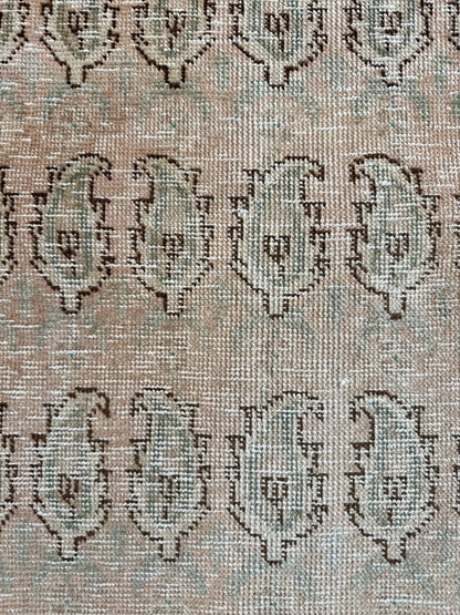 Tabriz Paisley Rug | 4' 9" x 11' 2"